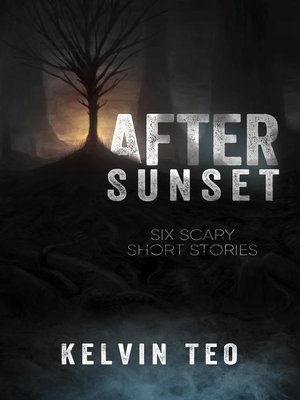 cover image of After Sunset